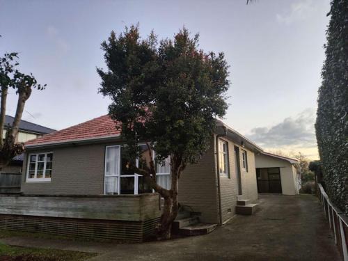 Mount Albert House | 4 Double, 1 Single and 2 Double Sofa Beds House A