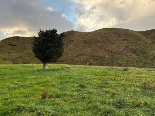 Pongaroa House | Coast Rd Rural Stay
