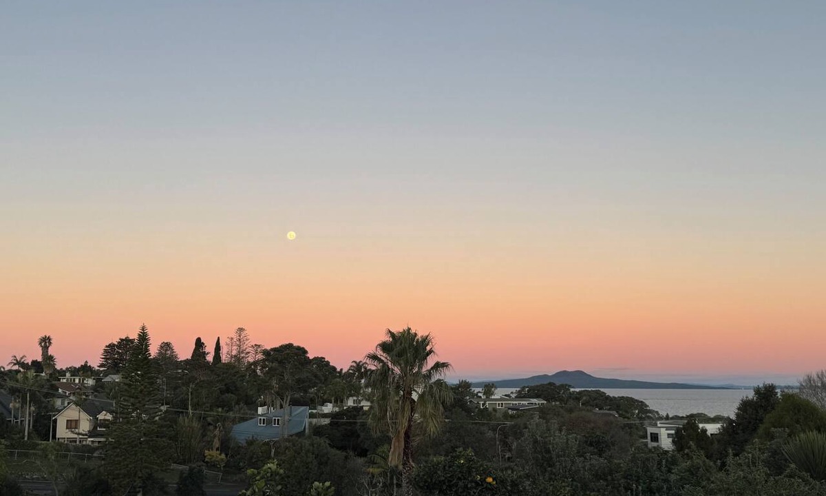 Torbay House | Cosy beach retreat on Torbay. Enjoy a spacious room with entire house and garden