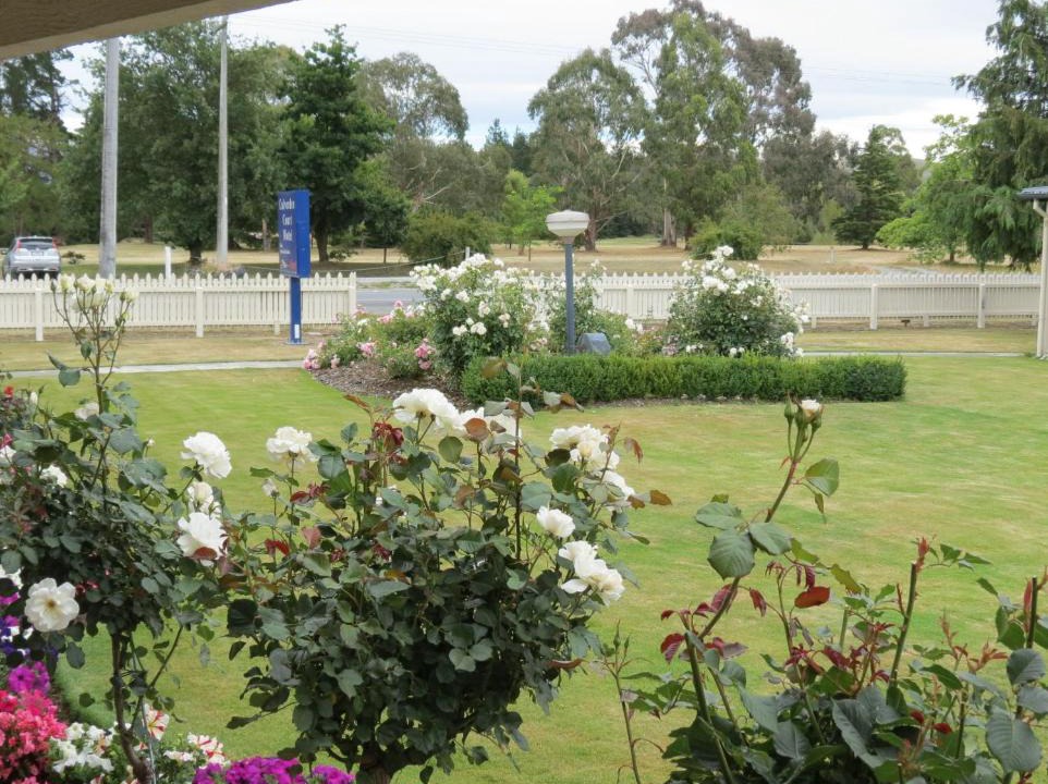 Culverden Hotel | Culverden Court Motel