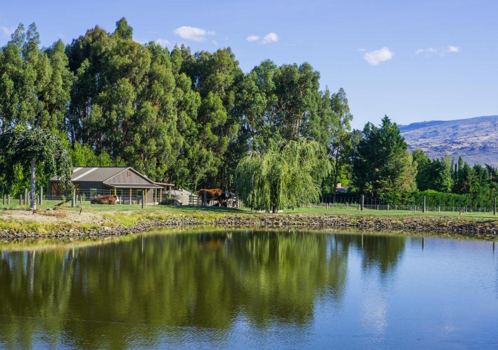Alexandra Bed & Breakfast | Dunstan Road B&B