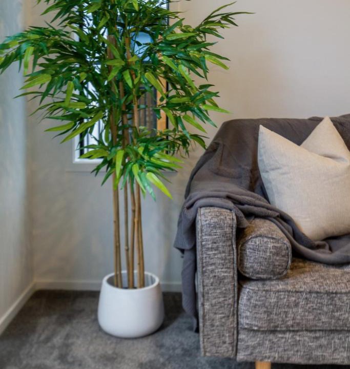 Addington Apartment | Explore Addington and CBD 1 bed w/carpark