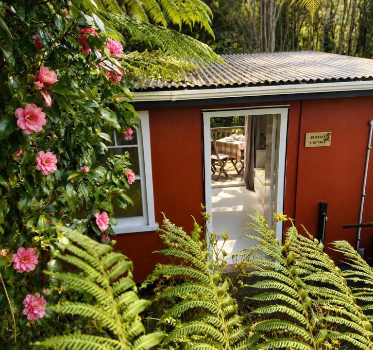Raglan House | Fantail Valley