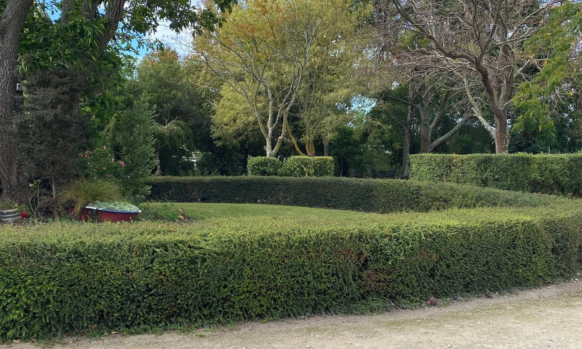 Havelock North Cottage | FARMVIEW IN THE VILLAGE