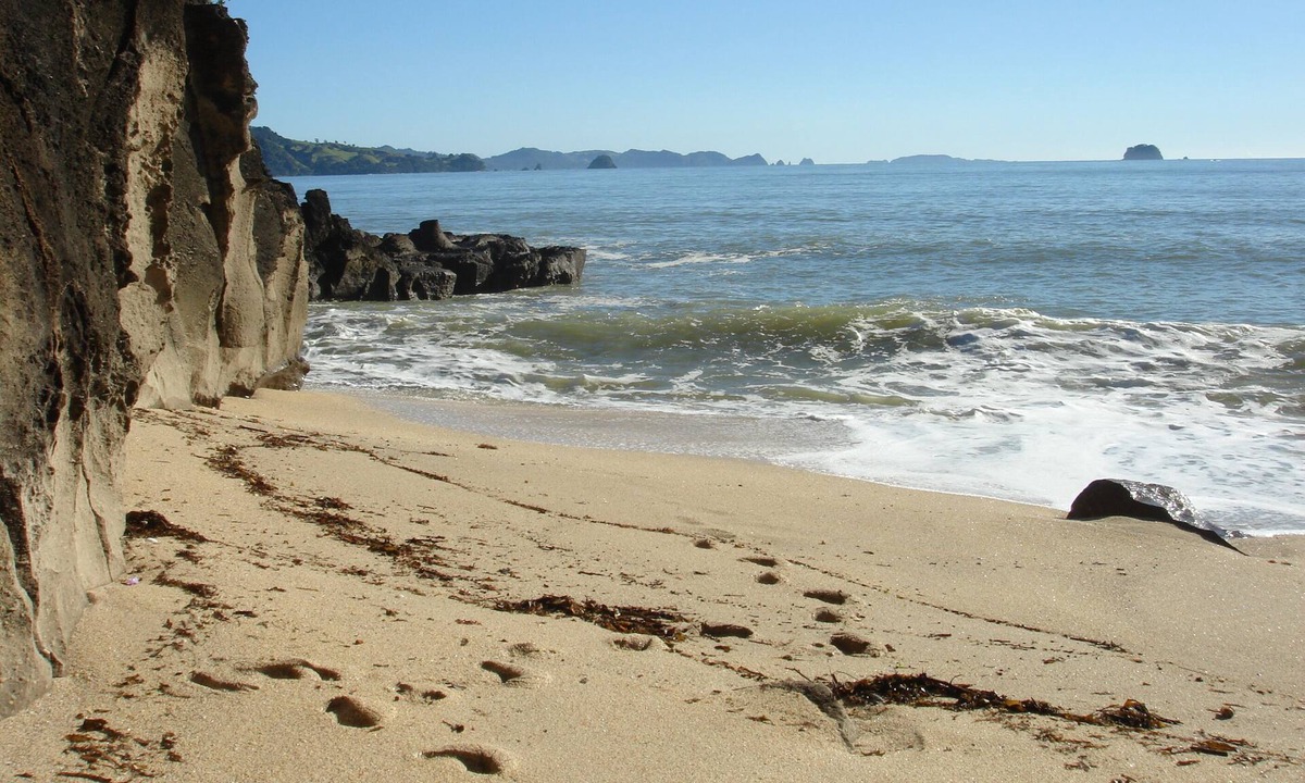 Cooks Beach Cottage | Flaxmill Bay Motel Unit 3 - Flaxmill Bay