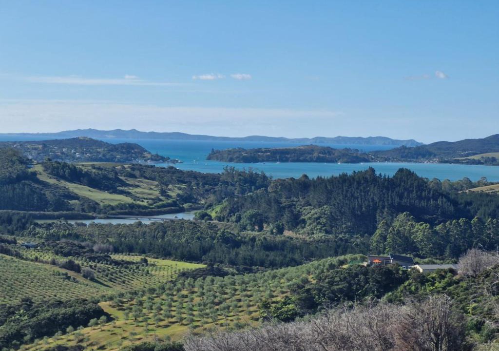 Mangonui House | Frantioio ridge retret