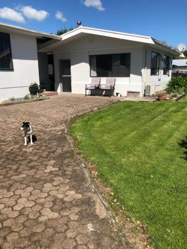 Cambridge Bed & Breakfast | Horseinaround