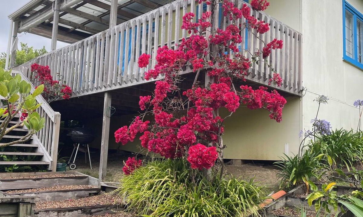 Waiheke Island Cottage | Iconic comfortable idyllic bach/cottage, in secluded Enclosure Bay ,