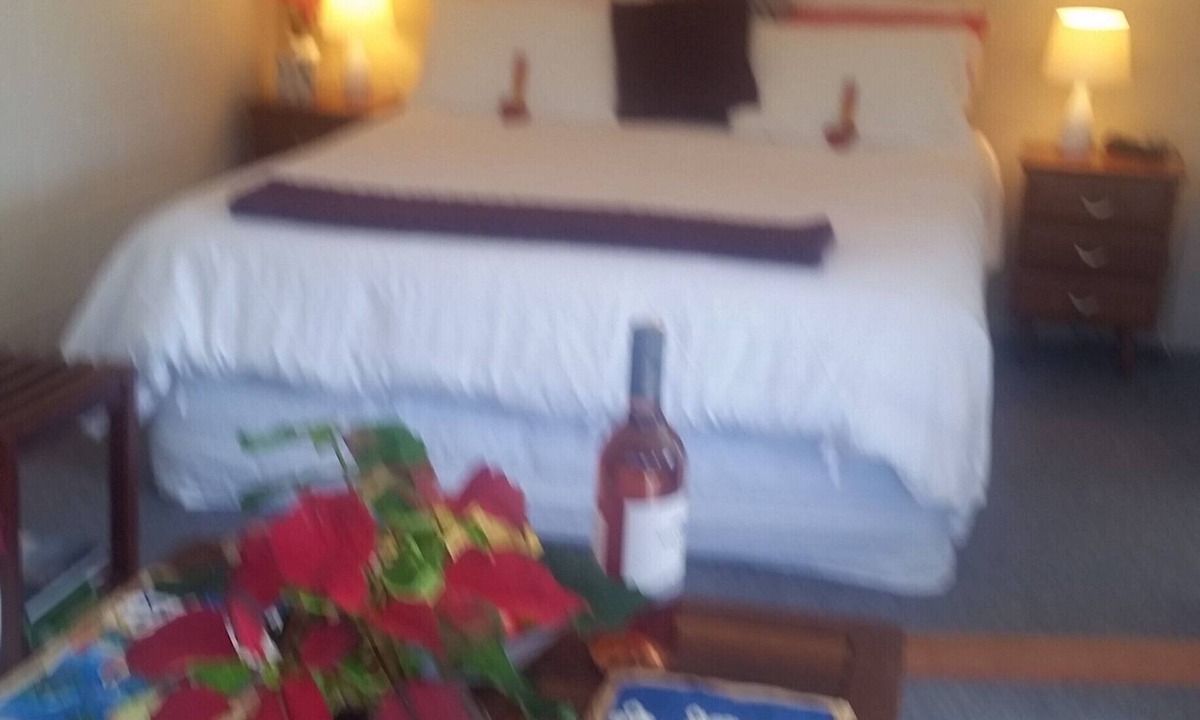 Ohope Bed & Breakfast | Moanarua Beach Cottage