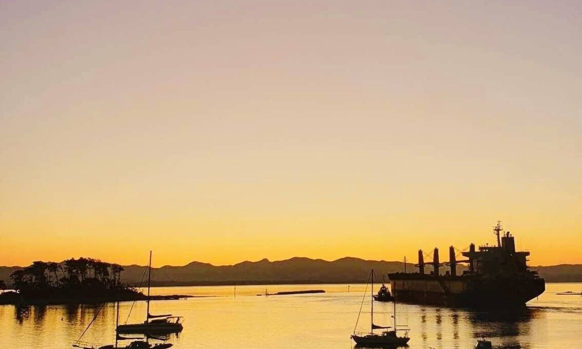 Stepneyville Apartment | Nelson Waterfront: Harbour Views, Balcony & 2BR