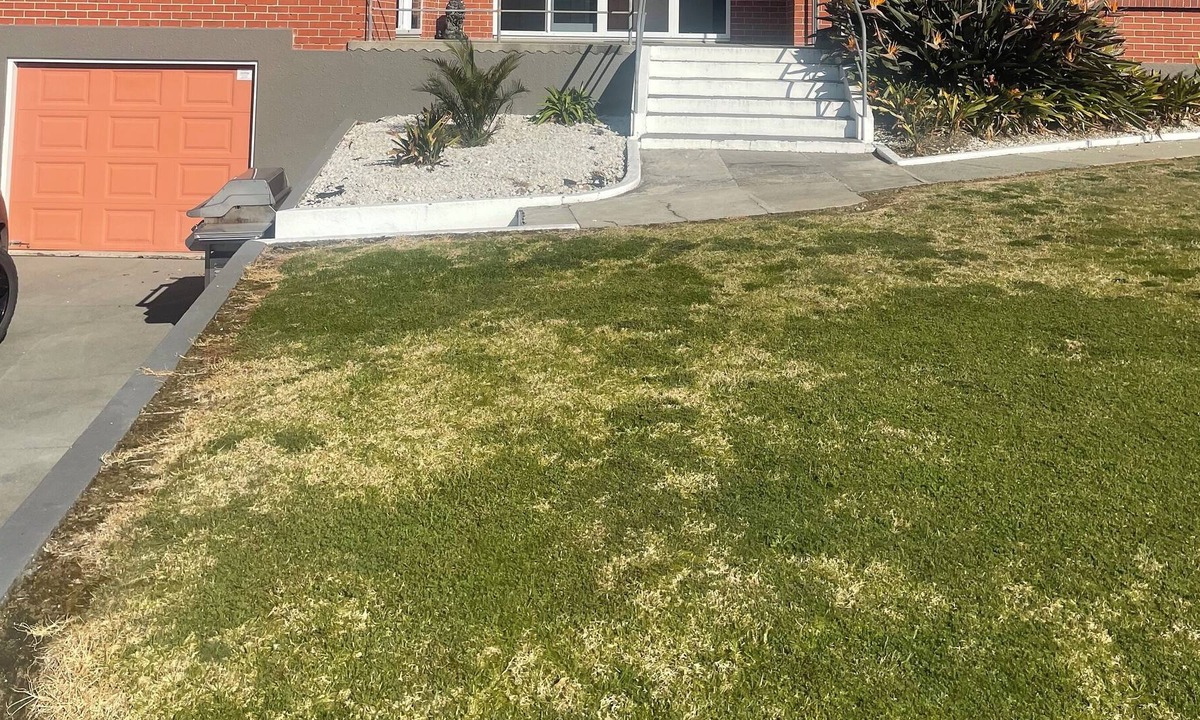 Mount Maunganui House | Oceanview Escape 2mins from beach
