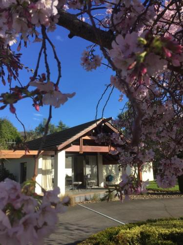 Napier Cabin | Olive Hill Guest Lodge
