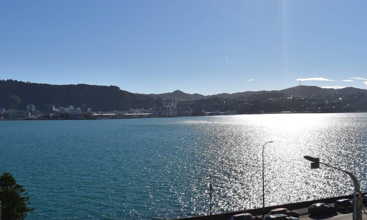 Oriental Bay Apartment | Oriental Bay Waterfront with 180 Views