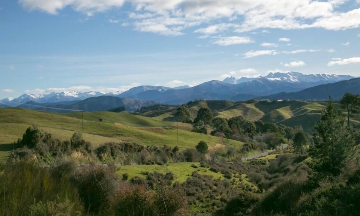 Mapua Cottage | Quince Cottage, Mapua