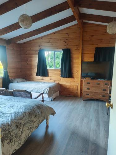 Turangi House | Riverside Loft