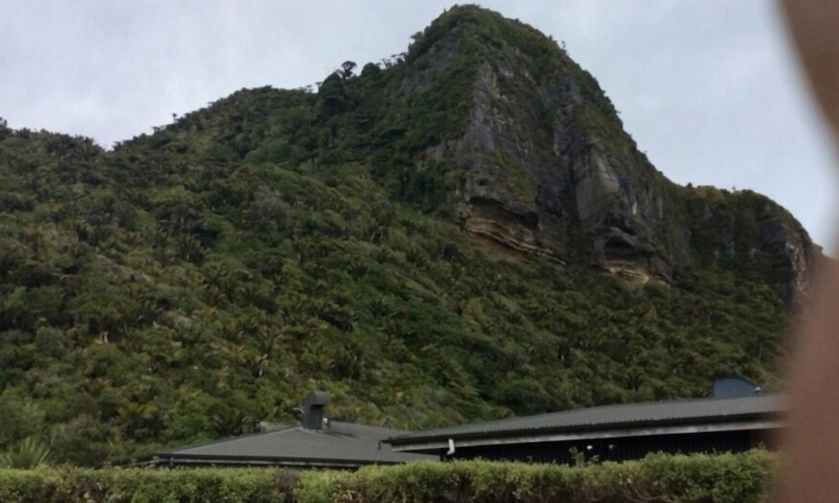 Punakaiki House | Stunning Paradise central on large section