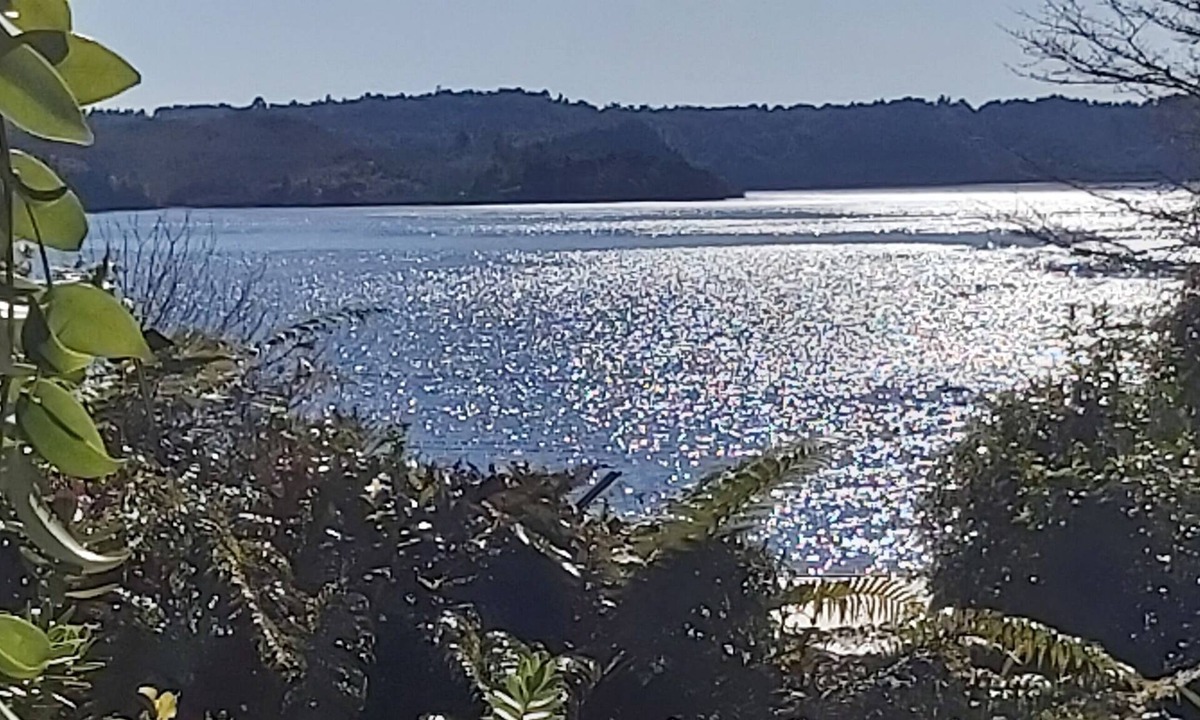 Rotoma House | STUNNING VIEWS, PRIVATE SETTING. Paradise found, all the comforts of home.