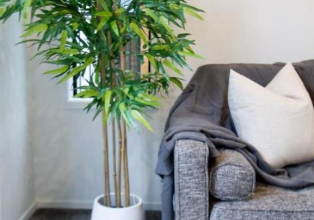 New Brighton Apartment | Sunsoaked seaside 1 bedroom 1 bath