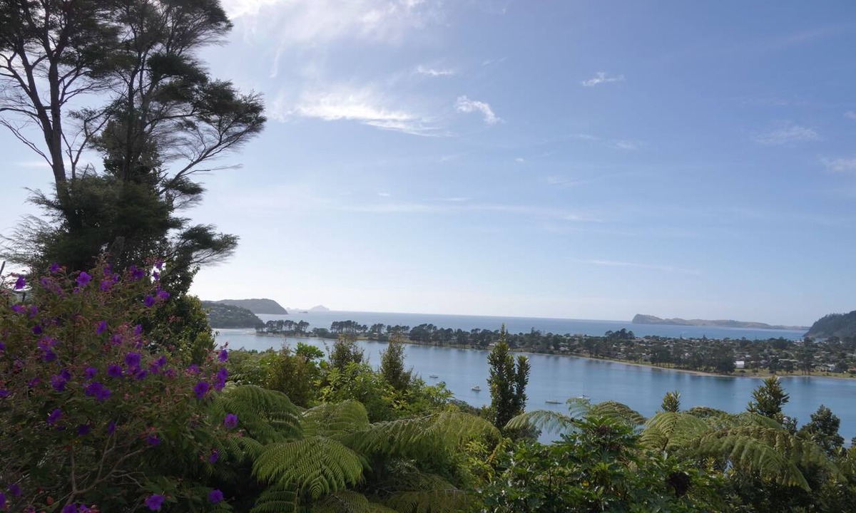 Tairua Cottage | Tairua Tree House - a traditional bach overlooking the Tairua Harbour