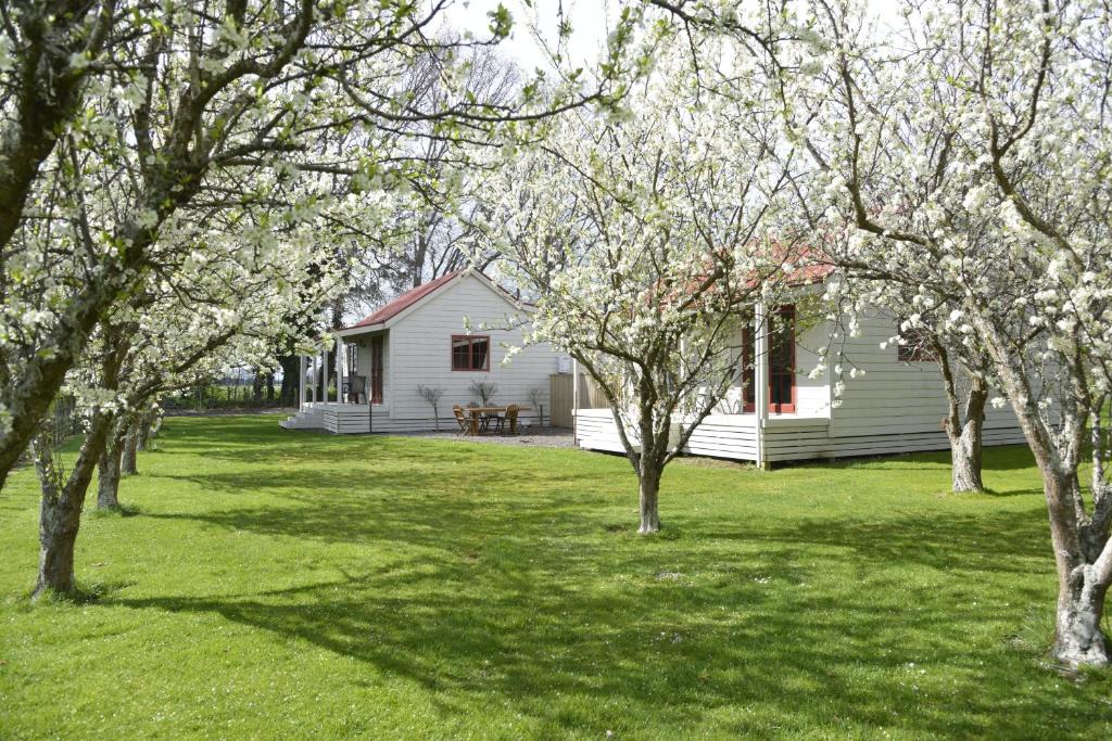 Carterton Cabin | Terracotta Lodge & Cottages