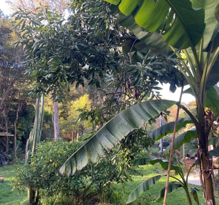 Marahau House | The Big House