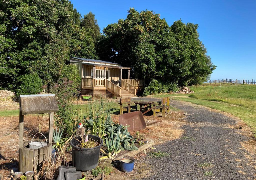 Ohauiti House | The Treehut