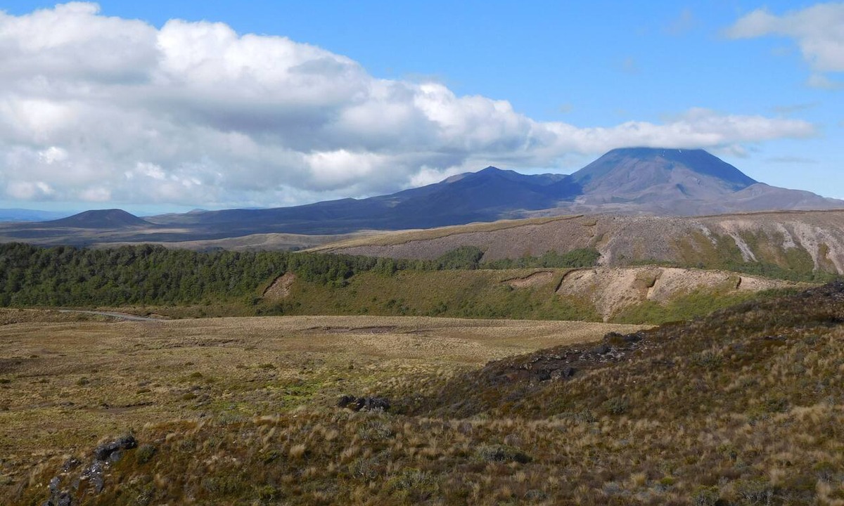 Tongariro National Park Hotel | Tongariro Boutique B&B