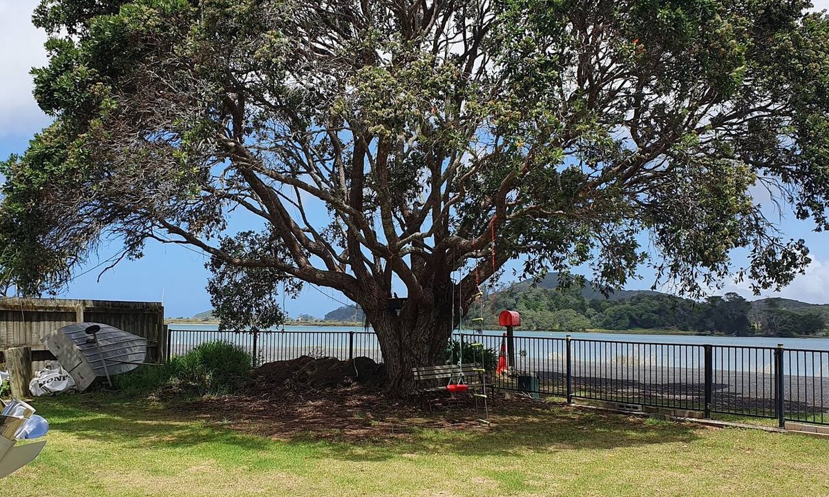 Ngunguru Cottage | Waterfront Cosy Cottage on the beautiful Tutukaka Coast. Sleeps 4. 1 bthrm.