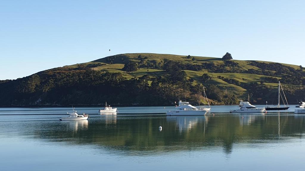 Akaroa Apartment | Waterscape Apartment with car park