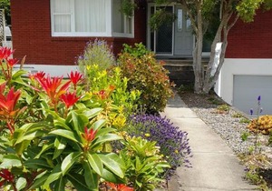 Blooming Delight Tauranga in Tauranga