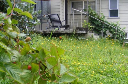 Whangarei Apartment | 1-bedroom unit with AC in banana garden