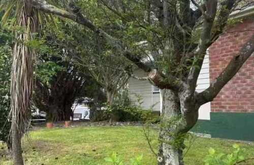 Palmerston North Apartment | 5 beds Studio, 77b Slacks Rd, Awapuni, Palmerston North