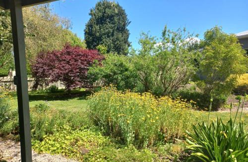Motueka Apartment | Apple Tree Cottage