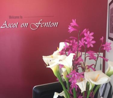 Fenton Street Hotel | Ascot On Fenton