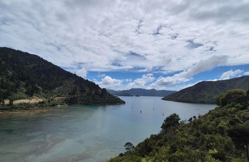 Whatamango Bay Bed & Breakfast | Bayheights