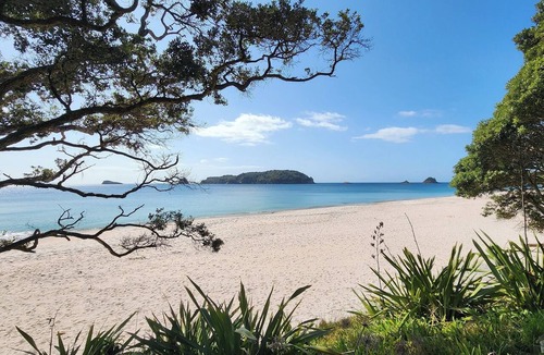 Hahei House | Beachfront Bliss, relax in the hammock and listen to the waves on your door step