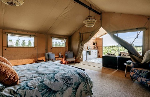 Clive RV Rental | Beautiful Safari Tent on a Gorgeous Vineyard near Hastings, North Island