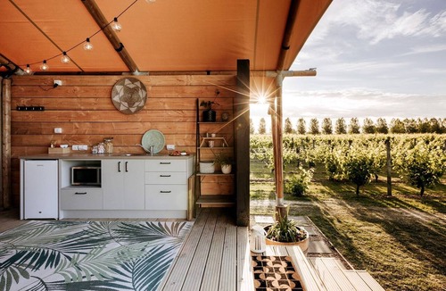 Clive RV Rental | Beautiful Safari Tent on a Gorgeous Vineyard near Hastings, North Island