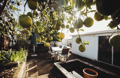 New Plymouth CBD House | Charming City-Central Holiday Home