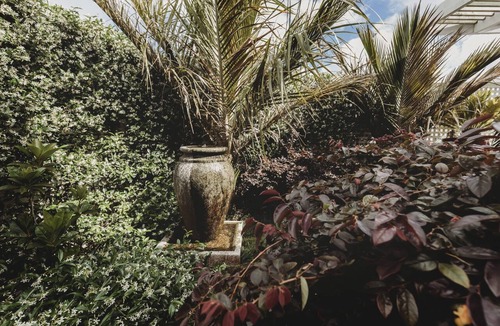 New Plymouth House | Charming Historic House in New Plymouth