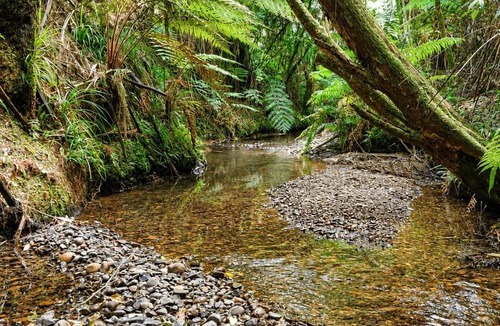 Raglan House | Fantail Valley