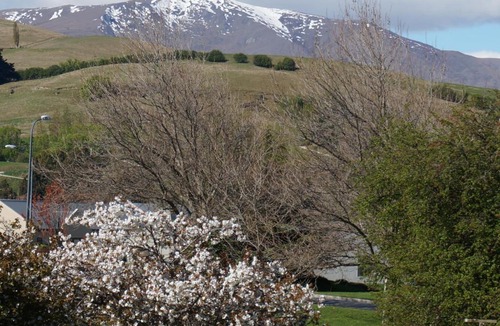 Lower Shotover House | Haven Suite Luxury 5 Star
