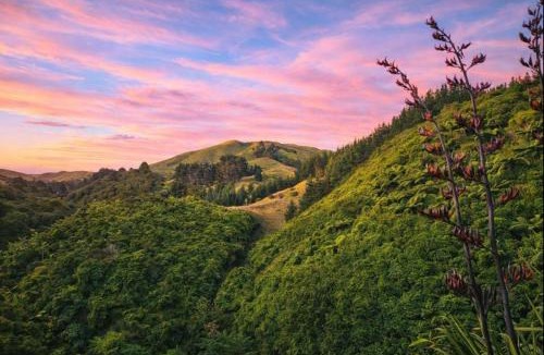 Wellington Region Apartment | Hill Top Hideaway - Self Contained Guest Suite with Private Spa