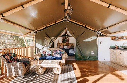 Whakamarama RV Rental | Jungle Den Experience the ultimate retreat in a luxury tent