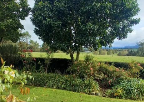 Te Poi House | Kaimai Sunset Bed & Breakfast