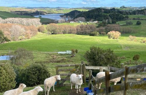 Kaiwaka House | Kaiwaka Paradise - Kaiwaka Holiday Home