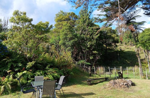 Waimamaku House | King of the Weka