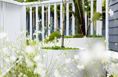 St. Heliers House | Laidback luxury by the beach - The Lombard