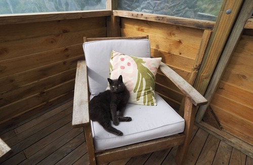 Paparoa Cottage | Mānuka Valley Farm