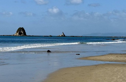Mangawhai House | Mangawhai Village Hideaway